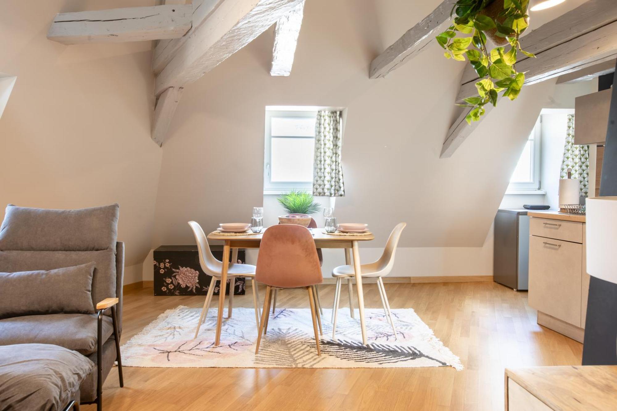 Duplex Atypique Au Coeur De Mulhouse公寓 外观 照片